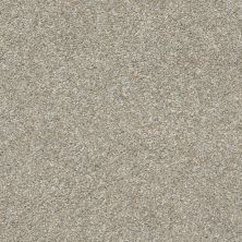 Shaw Floors Value Collections Frappe I Misty Harbor 00510_E9912