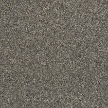 Shaw Floors Simply The Best All Over It I Granite Dust 00511_E9870