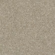 Shaw Floors Value Collections Frappe II Raw Wood 00110_E9913