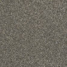 Shaw Floors Simply The Best ALL OVER IT II Granite Dust 00511_E9871