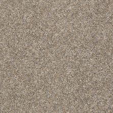 Shaw Floors Simply The Best ALL OVER IT II Weathered 00710_E9871