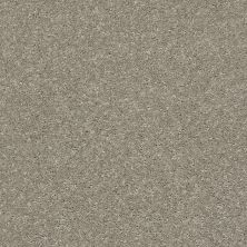 Shaw Floors Simply The Best After All II Rustic Taupe 00722_5E045
