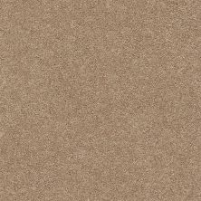 Shaw Floors Eco Choice SIMPLE COMFORTS NS I Falling Leaves (S) 720S_7B5S1
