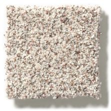 Shaw Floors Costco Wholesale Branded Program GRAND HIGHLIGHTS Breezy(A) 2190A_1CW24