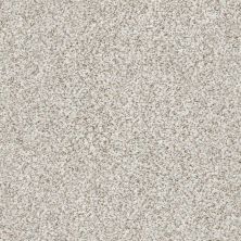Shaw Floors Costco Wholesale Branded Program GRAND HIGHLIGHTS Suede Buff(A) 2193A_1CW24