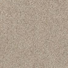 Shaw Floors Eco Choice SIMPLE COMFORTS ACCENT I Backstage Pass (A) 198A_7B5S7