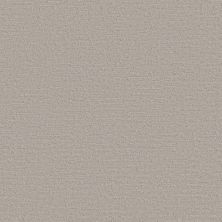 Shaw Floors Simply The Best All In One Net Classic Taupe 00105_E9893