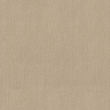 Shaw Floors Caress By Shaw TRANQUIL WATERS Sahara 00133_CCS80