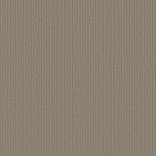 Shaw Floors Foundations Aerial Arts Artisan Taupe 00700_5E040
