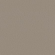 Shaw Floors Foundations AERIAL VIEW Artisan Taupe 00700_5E041