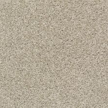 Shaw Builder Flooring Property Solutions Specified CLARITY Stucco 00122_PZ039