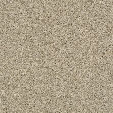 Shaw Builder Flooring Property Solutions Specified CLARITY Woven Straw 00220_PZ039