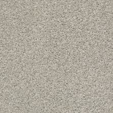 Shaw Builder Flooring Property Solutions Specified CLARITY Silver Parchment 00510_PZ039