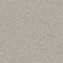 Shaw Floors Nfa Finders Keepers Soft Fleece 0120T_NA471