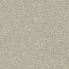 Shaw Floors Nfa Finders Keepers Desert Light 0121T_NA471
