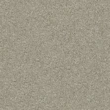 Shaw Floors Nfa Finders Keepers Winter Dunes 0123T_NA471
