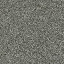 Shaw Floors Nfa Finders Keepers Cedar Ridge 0721T_NA471