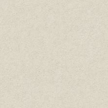 Shaw Floors Simply The Best Attainable Blizzard 100S_E9965