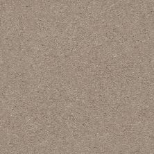 Shaw Floors Simply The Best Attainable Pebble Path 101S_E9965