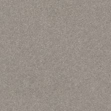 Shaw Floors Simply The Best Montage II Polished Stone 103S_5E082