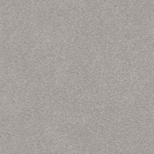 Shaw Floors Simply The Best Montage II Classic Silver 500S_5E082