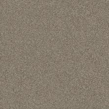 Shaw Floors Simply The Best MONTAGE II Midtown Brown 720T_5E082