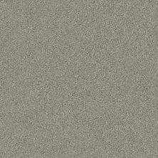 Shaw Floors Simply The Best Montage II Tempting Taupe 740A_5E082