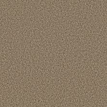 Shaw Floors Value Collections Break Away (b) Net Stepping Stone 00113_5E281