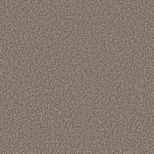 Shaw Floors Value Collections BREAK AWAY (B) NET Sweet Taupe 00532_5E281