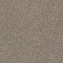 Shaw Floors Simply The Best Solidify I 12′ Natural Contour 00104_5E262