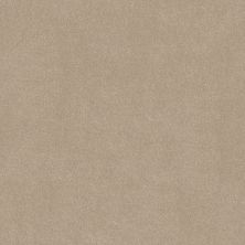 Shaw Floors Simply The Best EASY SPIRIT I 12′ Shaker Beige 00112_5E864