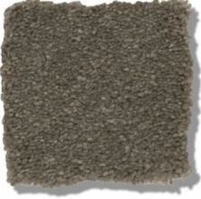 Shaw Floors Simply The Best Solidify II 12′ Pewter 00701_5E264