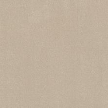 Shaw Floors Simply The Best Easy Spirit III 12′ Cream 00111_5E866