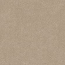 Shaw Floors Simply The Best Easy Spirit III 12′ Shaker Beige 00112_5E866