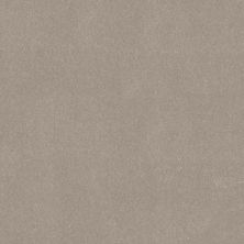 Shaw Floors Simply The Best Easy Spirit III 12′ Biscotti 00113_5E866