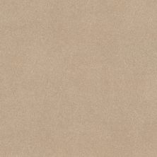 Shaw Floors Simply The Best Easy Spirit III 12′ Captiva 00114_5E866
