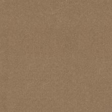 Shaw Floors Simply The Best Easy Spirit III 12′ Stone House 00115_5E866