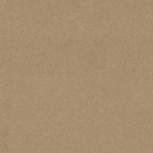 Shaw Floors Simply The Best Easy Spirit III 12′ Tuscan Sun 00210_5E866