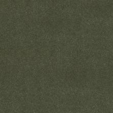 Shaw Floors Simply The Best Easy Spirit III 12′ Garden View 00310_5E866