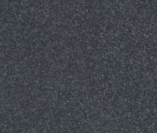 Shaw Floors Simply The Best Solidify III 12′ Iron 00501_5E266