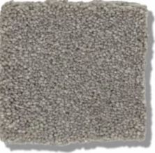 Shaw Floors Simply The Best Solidify III 12′ Taupe Stone 00502_5E266