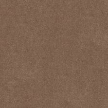 Shaw Floors Simply The Best Easy Spirit III 12′ Bungalow 00711_5E866