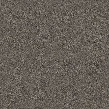 Shaw Floors Simply The Best WITHIN REACH II Beige Bisque 00110_5E260