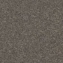 Shaw Floors Simply The Best Within Reach III Beige Bisque 00110_5E261