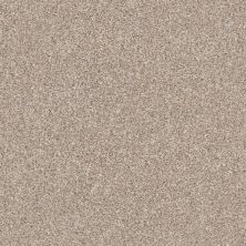 Shaw Floors Home Foundations Gold Perfect Match 2 Grecian Tan 00720_FQ602