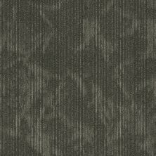 Shaw Floors Cultured Collection Esthetic Composition 00505_54918