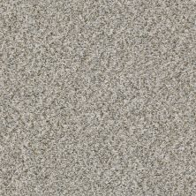 Shaw Floors Carpetland Value EASY BREEZY TWEED Stone 00550_7B7R2