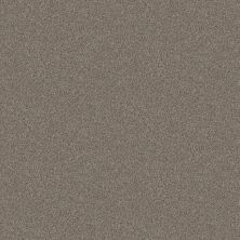 Shaw Floors Carpetland Value EASY BREEZY TWEED Granite 00551_7B7R2
