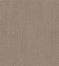 Shaw Floors Home Foundations Gold Scenic View French Linen 00101_HGR39