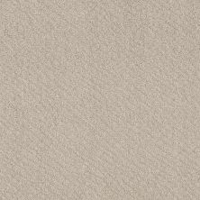 Shaw Floors Foundations Chic Shades Washed Linen 00103_5E342